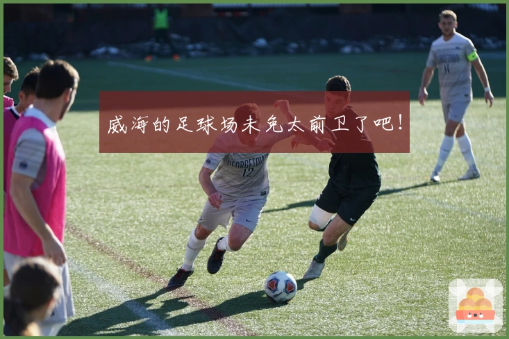 威海的足球场未免太前卫了吧！