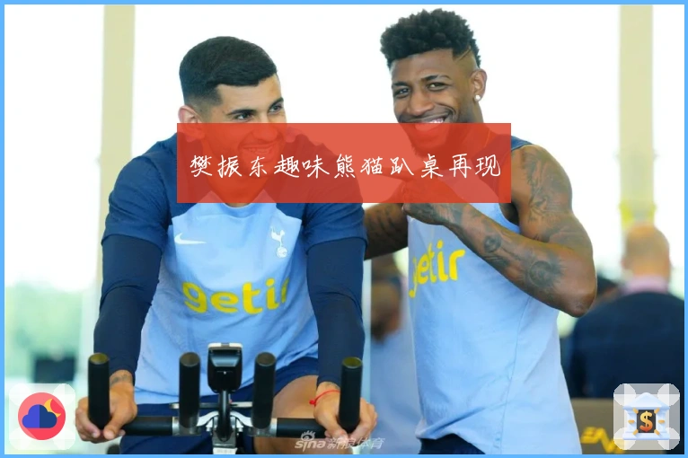 樊振东趣味熊猫趴桌再现