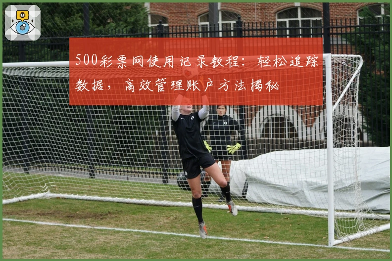 500彩票网使用记录教程：轻松追踪数据，高效管理账户方法揭秘
