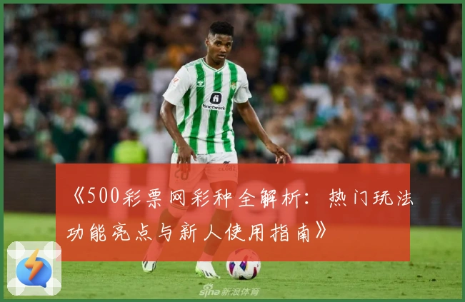 《500彩票网彩种全解析：热门玩法功能亮点与新人使用指南》