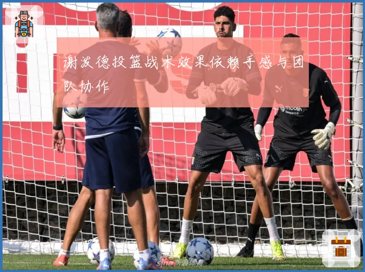 谢泼德投篮战术效果依赖手感与团队协作