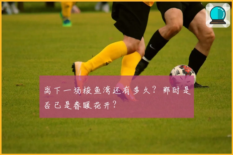 离下一场梭鱼湾还有多久？那时是否已是春暖花开？